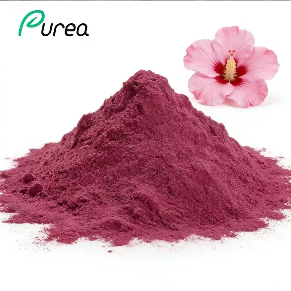 Hibiscus flè ekstrè poud