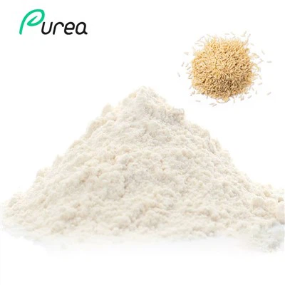 Ferulic asid poud 99%